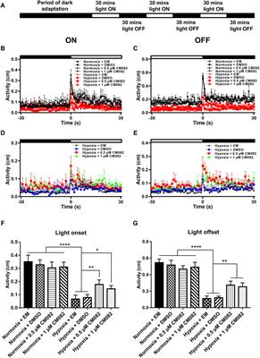 CM082 suppresses hypoxia-induced retinal neovascularization in larval zebrafish